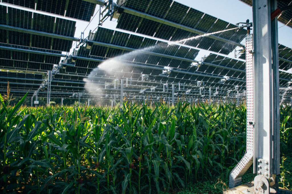 instalação agrovoltaica com sistema de irrigação