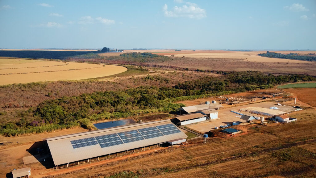 Fazenda leiteira em Minas Gerais