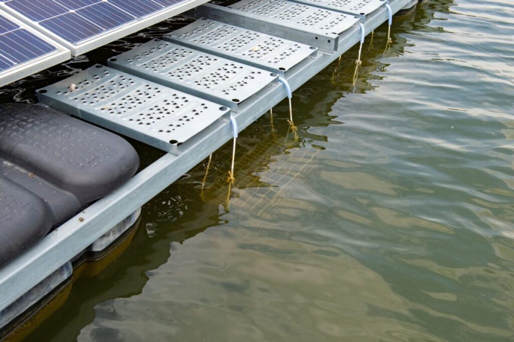 Solar flutuante afeta positivamente ambientes aquáticos
